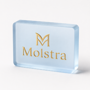 Custom Acrylic Logo Block | Multi-Craft Brand Display Blocks